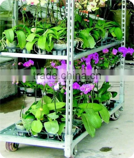Chrome Plated Handcart