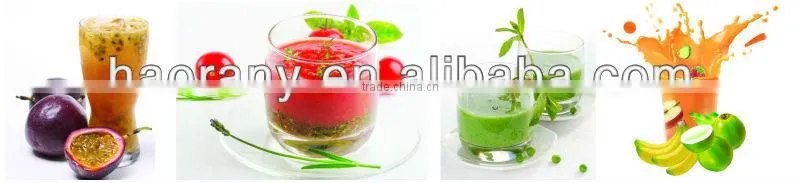 Cheap fruit juicing machine