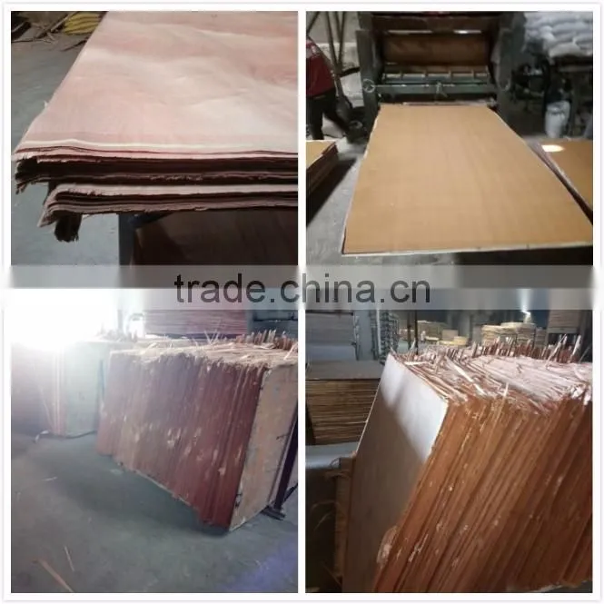 Natural venner plywood for furniture or decoration with competitive price!