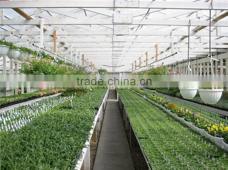 Simple cultivating external blinds greenhouse flowers