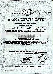 maltodextrin food additive