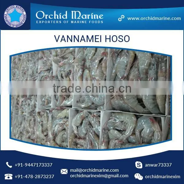 High Grade Hygienically Processed Frozen Vannamei Shrimps Price