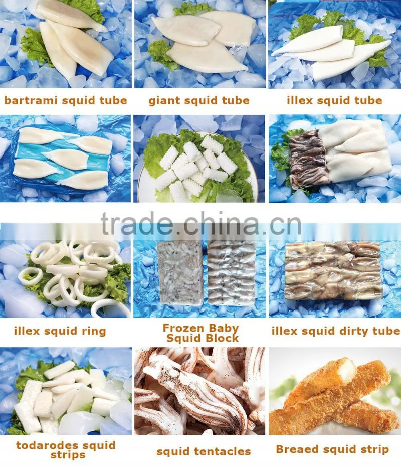 alibaba gold supplier frozen giant squid tentacle in squid