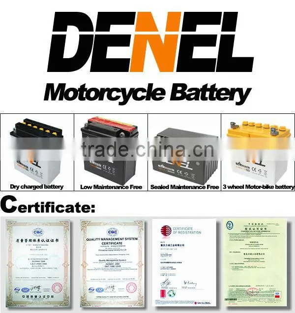 Maintenance Free Battery (For Vehicle)