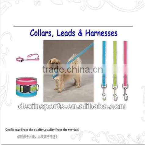 wholesale dog leads