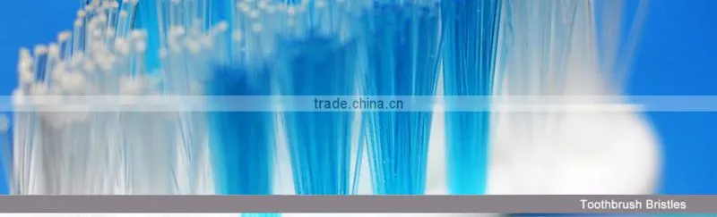 Dupont Tynex Nylon PBT TOOTHBRUSH FILAMENTS AND TOOTHBRUSH BRISTLES