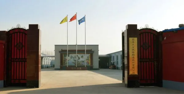 Shijiazhuang Hongsu Textile Import & Export Co.,Ltd. company overview - view 1