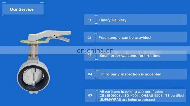 6 inch cast iron dual plate check valve water check valve
