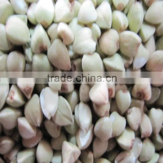 hulled buckwheat / organic and common