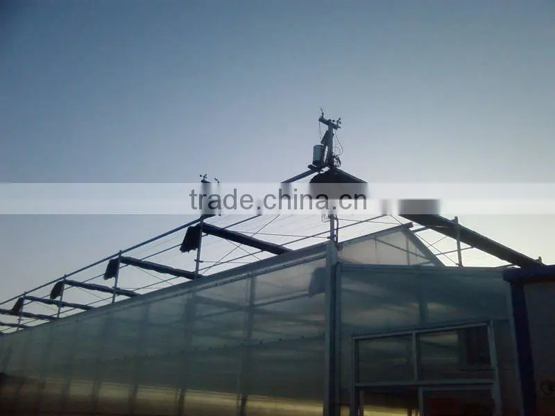 Venlo Greenhouse