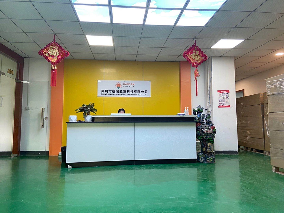 Shenzhen Hansen Energy Technology Co.ltd. company overview - view 1