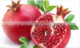 Automatic Pomegranate Peeling Machine, Hot Sale Pomegranate Press