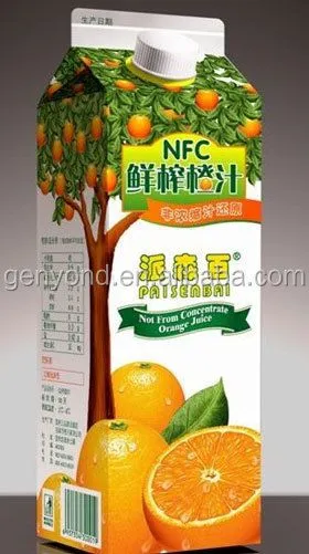 Shanghai Factory Complete Small Capacity mango Puree Processing Plant
