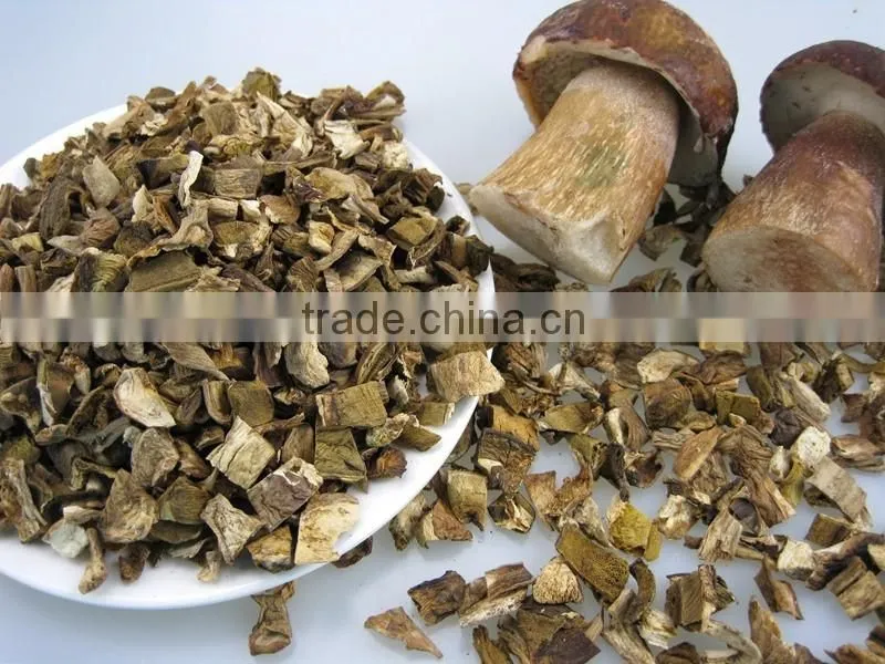 Fibrin Dried White FUNGUS MUSHROOM 2016
