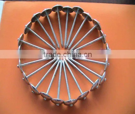copper roofing nails