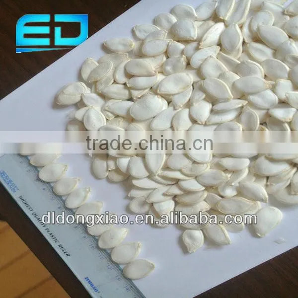 Chinese Shop Online Plant Seeds for Agricultural Snow White Pumpkin Seeds