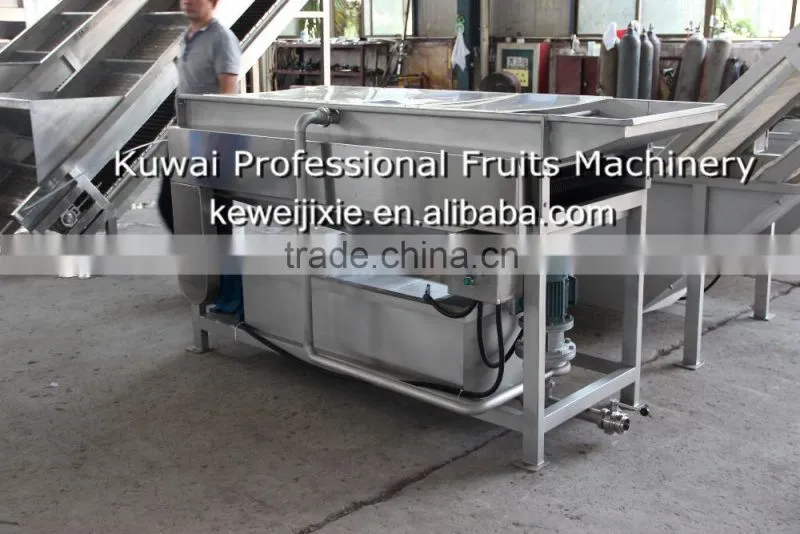 1 ton MSJ-1 Model brush cleaner(Industrial apple washer)