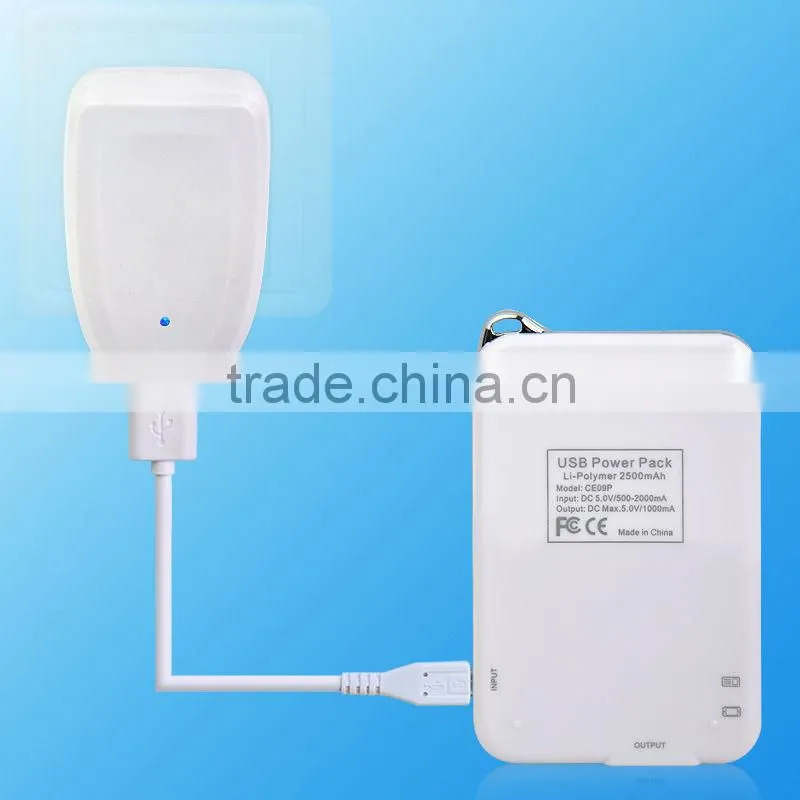 2500mAh usb battery pack for iphone and digital product