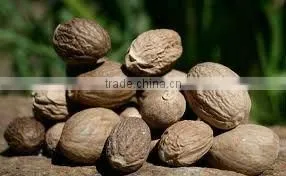 Mace Oleoresin