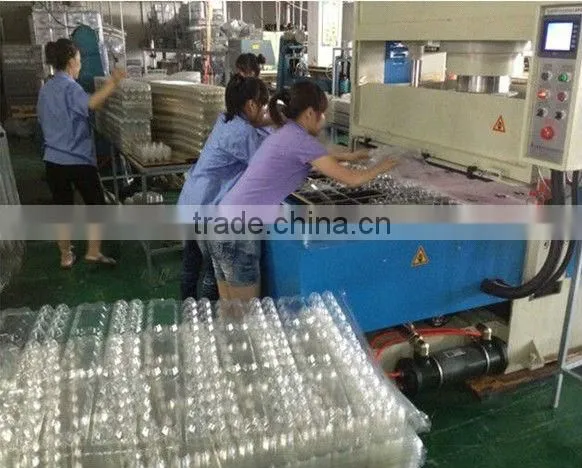 plastic egg packaging tray in pet film