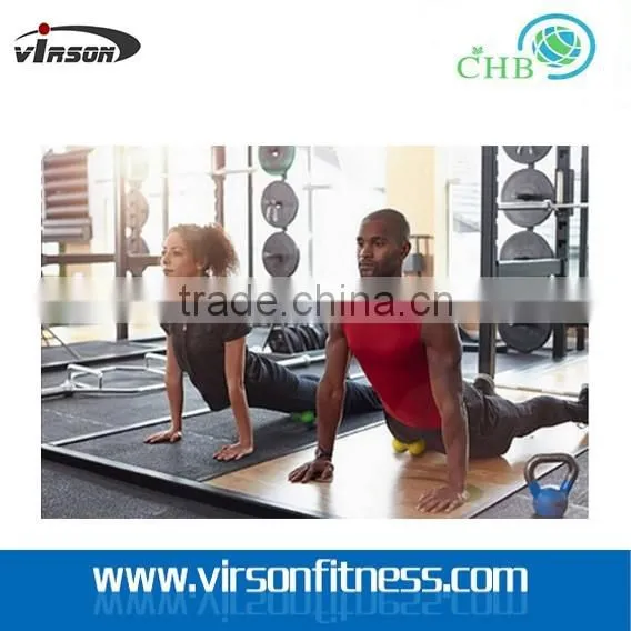 Gym Fitness ball/ massage ball/exercise ball