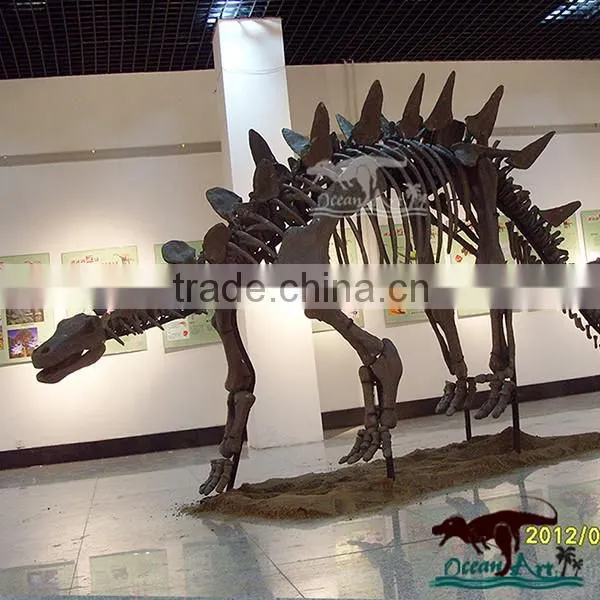 OA3147 Museum Life-size Dinosaur Fossil Replica