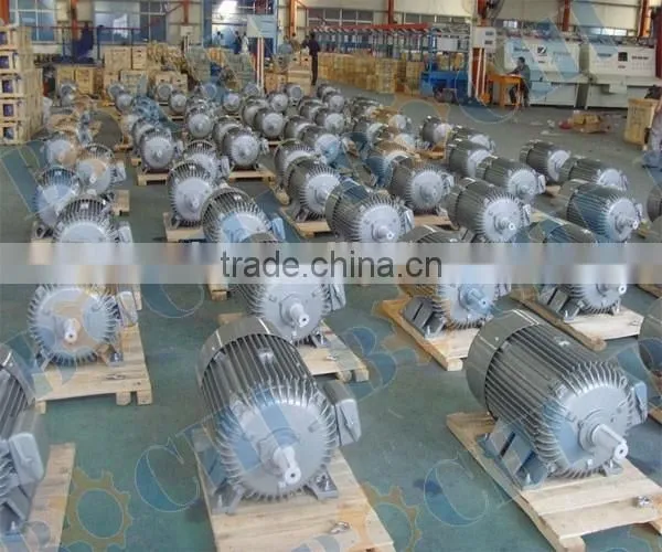 Marine three phase AC electric water pump motor price