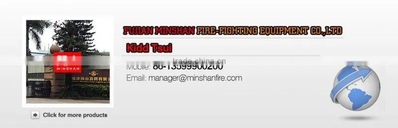 Grooved mechanical tee pipe coupling