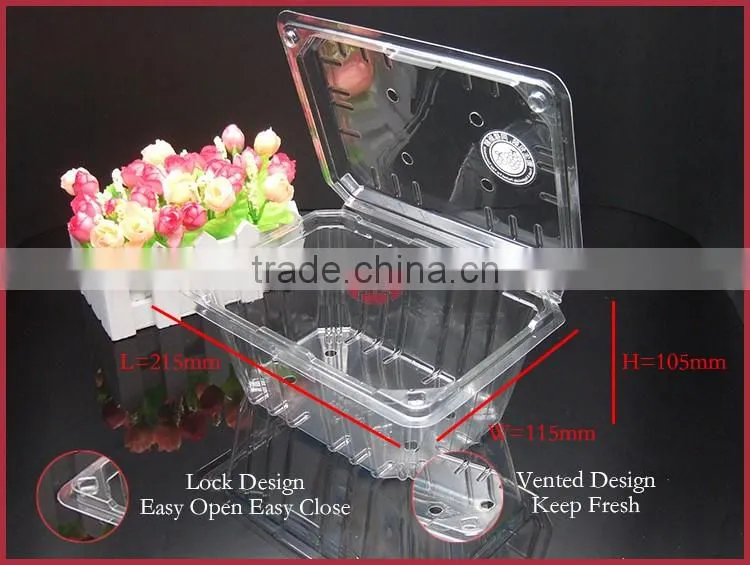 Transparent Vented APET Material Plastic Fruit container with Lid DY-H2000A