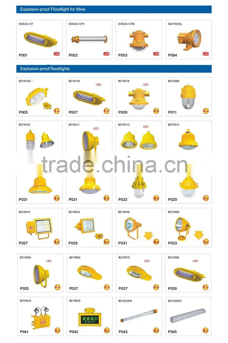 Ex-proof certificate LED Floodlight 100W