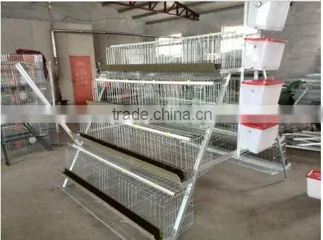 ZH-40 automatic bird depilator machine/ quail plucker machine
