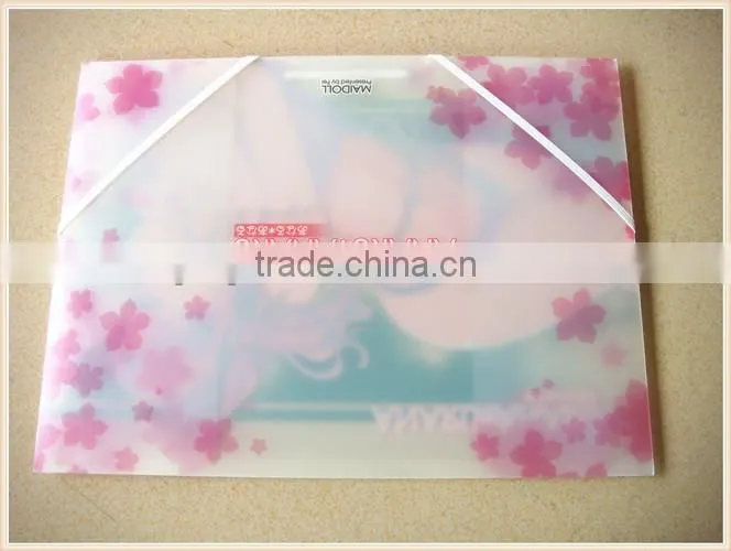 A4 plastic document wallet , travel document wallet