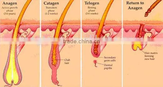 Laser Hair Removal Tria Home Use