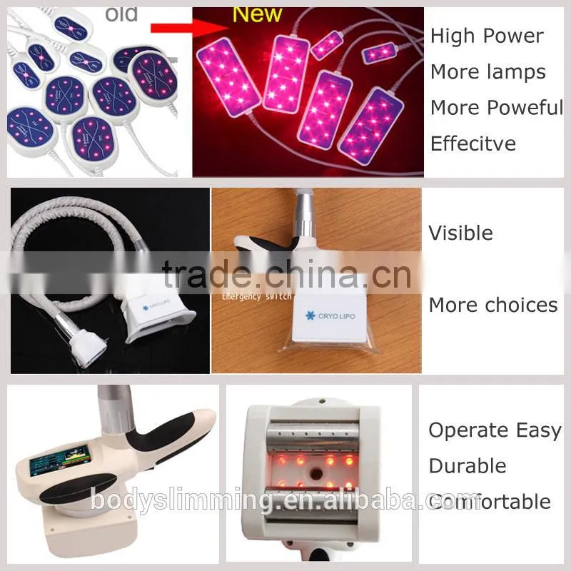 Cryolipolysis vacuum head fat treatment llipo laser ab slimming machine