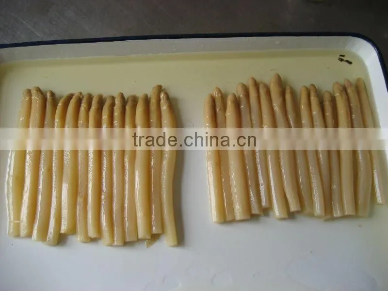 China New crop canned asparagus Canned vegetables Canned White Whole Asparagus