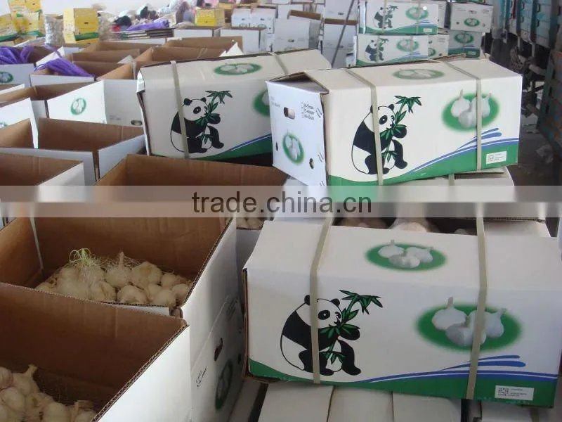 normal/pure white garlic in bulk