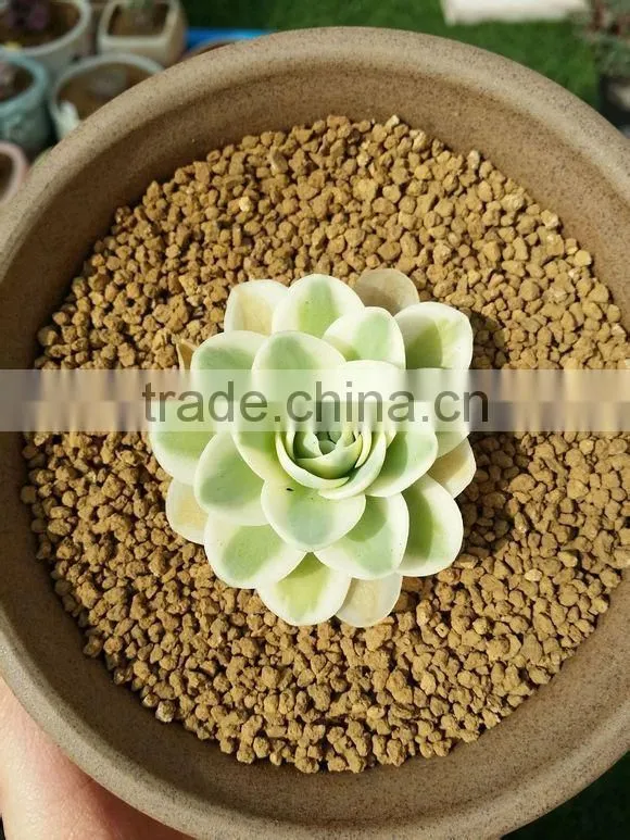 Cactus Soil/Gardening Soil/Trace Element Soil