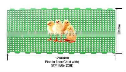 Hot sale! plastic floor for poultry