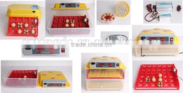 Easy clean good quality plastic poultry transport crate for chicken