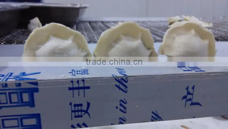 New design automatic chinese dumpling making machine/samosa making machine