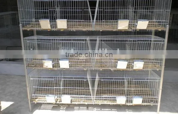 alibaba rabbit breeding cages,rabbit breeding cages factory
