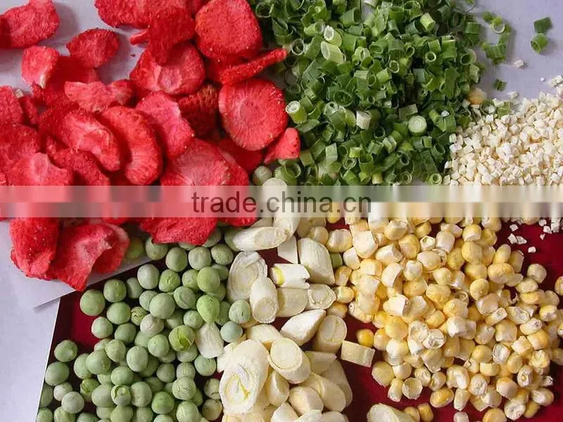 Professional Fruit Lyophilizer Equipment Industrial Lemon Drying Machine