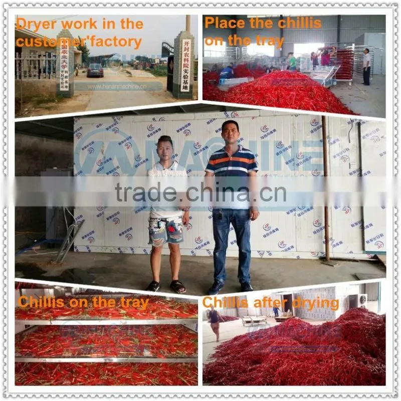 heat pump fruit dryer argos for fruit vegetable herb meat fish chilli for moringa leaves