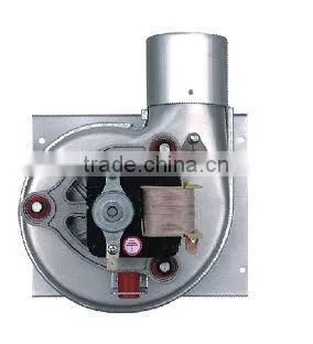 European style wall-hung gas water heater