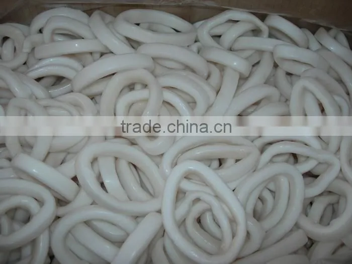 frozen Squid ring-Todarodes Pacificus