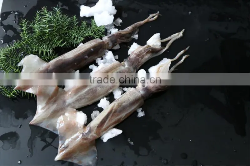 New land sea frozen squid 2015 jigger
