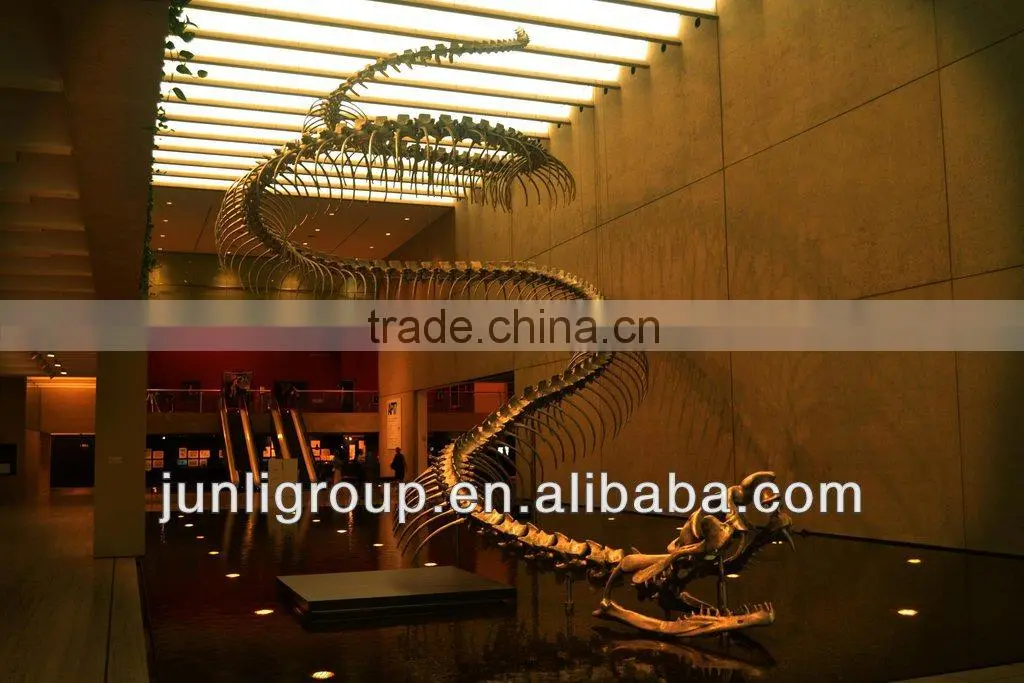 JLDF-G-0023 Huge Life Size Snake Skeleton