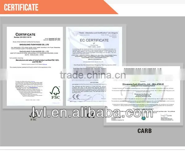 poplar packing plywood made in china