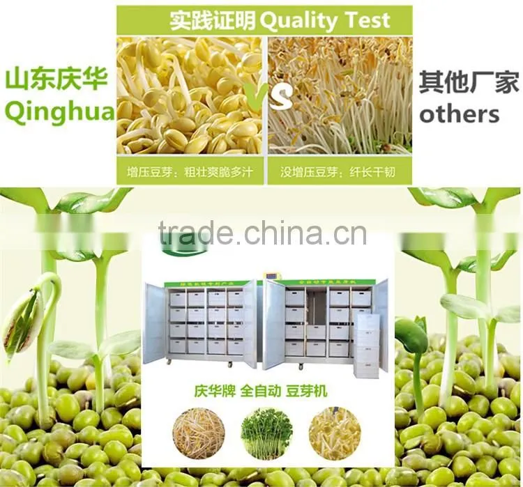 Hot Sale Automatic bean sprout growing machine, Bean Sprouting Machine,Bean Sprout Machine Price