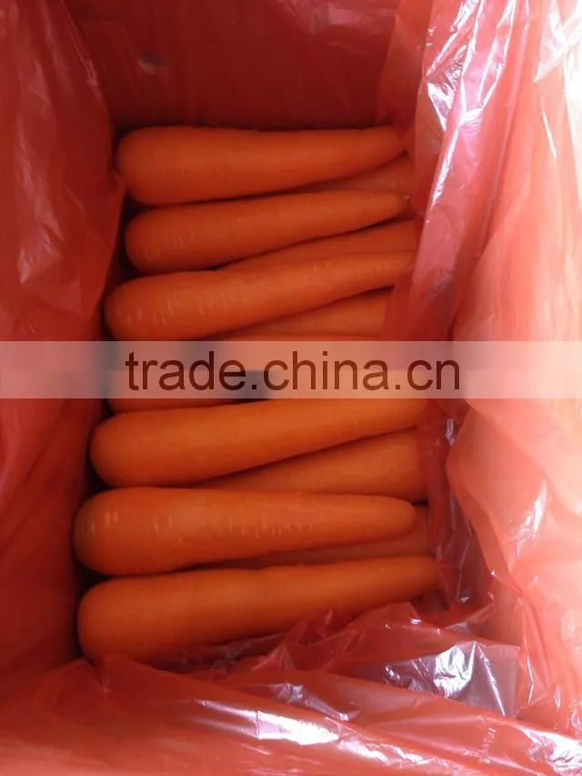 Fresh Carrot/bulk carrot /fresh red carrot